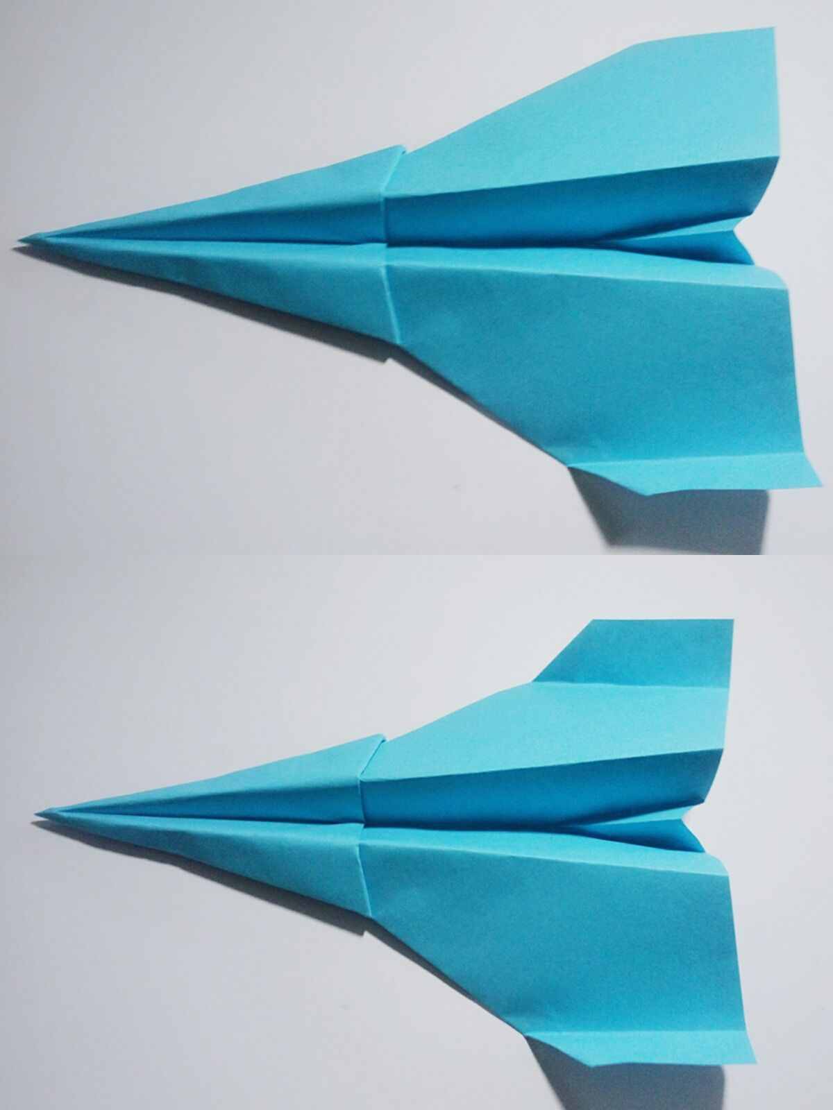 [纸飞机怎么注册教程]纸飞机app怎样注册