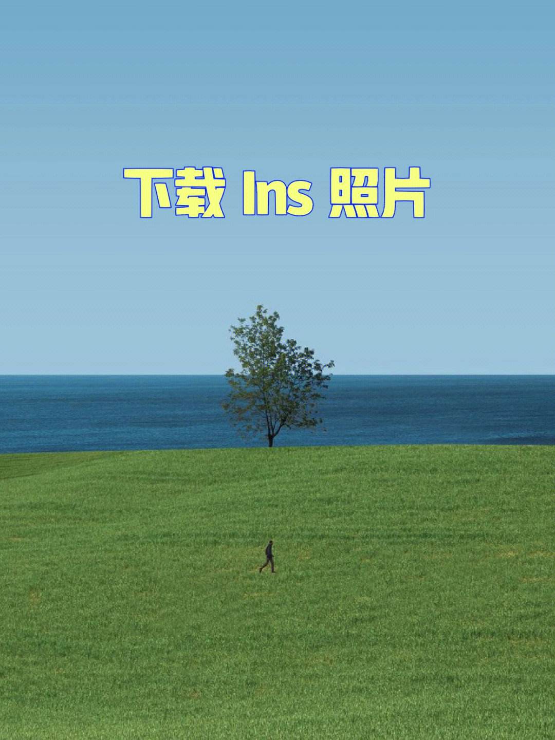 [ins下载]ins下载安装