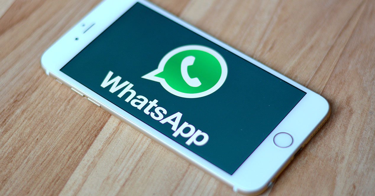 如何获取whatsapp数据-whatsapp如何获取他人的位置