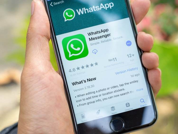 whatsapp安卓版官网下载-whatsapp安卓版官网下载手机端