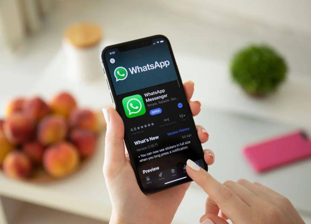 whatsapp官网-whatsapp官网安卓下载安装