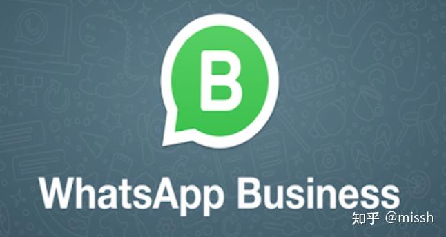 whatsapp怎么在中国用-whatsapp在中国怎么才能用