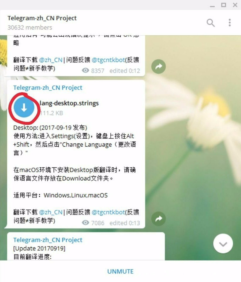 teleg怎么设置中文-telegram怎么设置汉语