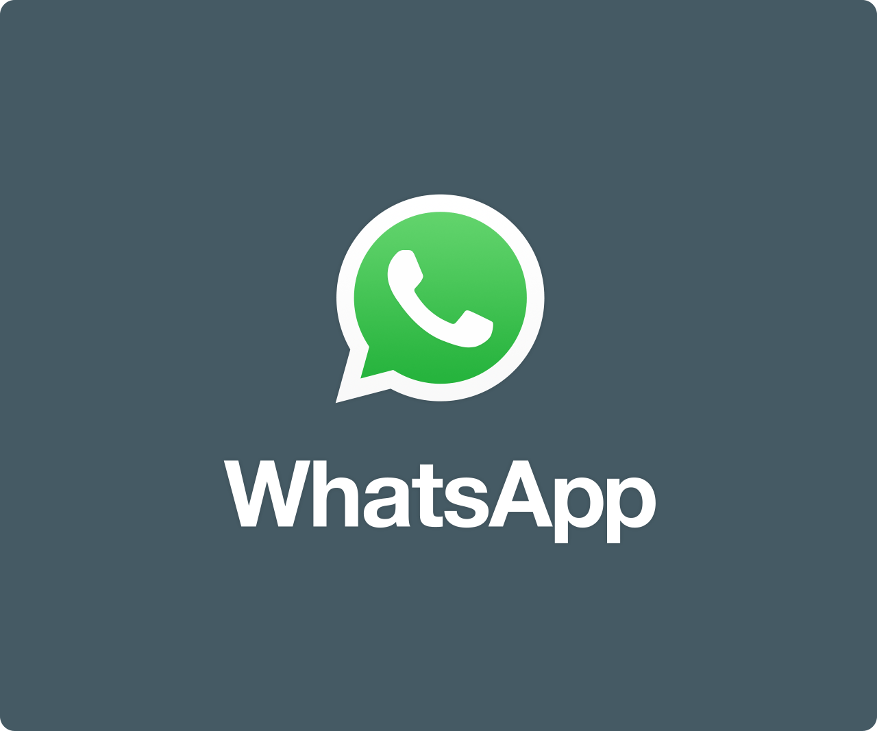 whatsappapp聊天页面-whatsapp更新后聊天记录都不见了怎么办