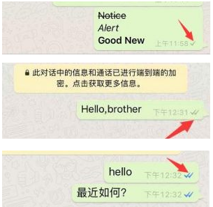 whatsapp香港账号购买链接-whatsapp用香港卡注册可以用吗?