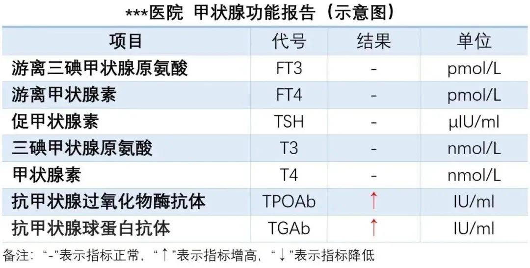 TGAb升高是什么意思的简单介绍