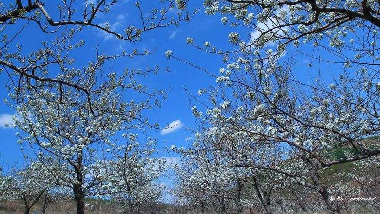 电报员原骂人无消音、电报员口吐芬芳无消音